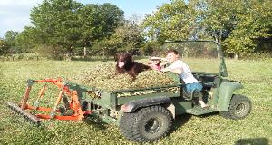 John Deere Gator with T-Point Lift three point hitch and Rake